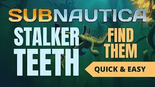 Where to find stalker teeth in Subnautica 2024