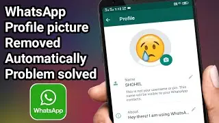 Whatsapp profile picture removed automatically problem solved | Whatsapp profile picture not showing