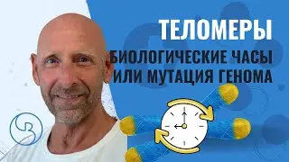 Теломеры. Биологические часы. Мутация Генома | Метод Богданова