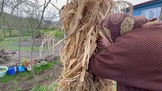 HERKEZDEN SAKLIYOR YOK BÖYLE SEVGİ SUSUZLUKTAN ÖLMÜŞ KÖY BELGESELİ