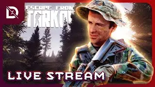🔴 A WONDERFUL DAY IN TARKOV (NO PAIN)