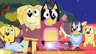 Let's Play Sports! ⚽️ | Games with Bluey and Bingo | Bluey