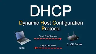 DHCP Guide: How Dynamic Host Configuration Protocol (DHCP) works