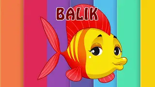 Getting to know fish, having fun, learning