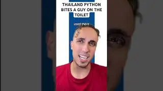 Thailand Python Bites A Guy On The Toilet