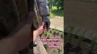 А Вы трете памятники на удачу???