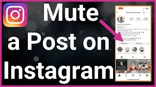 How To Mute Someones Post On Instagram