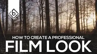 How To Create A Professional Film Look - Sony Vegas Tutorial