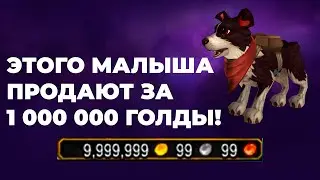 Способы голдфарма на старте дополнения | World of Warcraft Dragonflight | easywow