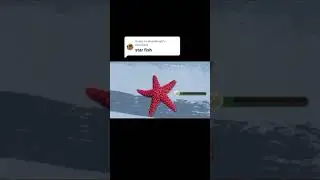 نجمة البحر StarFish
