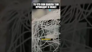 То что они нашли там приводит в ужас!!