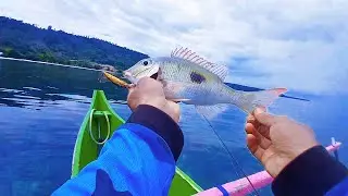 Mancing Casting dari atas perahu hasilnya sungguh memuaskan || Ultraligh Casting