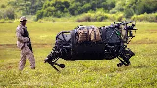 U.S. Military Scraps $42 Million Four-Legged Robot for Being Too Noisy