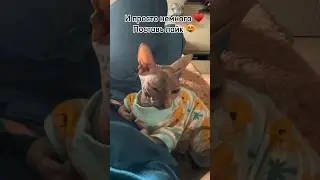 Инопланетная кошка Юна! Мой нескончаемый поток любви и нежности 