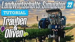 LS22 Trauben & Oliven - So platzierst, pflegst und erntest du Trauben & Oliven im LS22