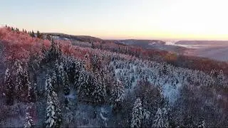 Футаж для видеомонтажа #41. [Природа, лес, зима]