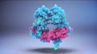 Пептиды в косметике.