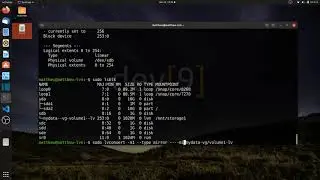 Mirroring an existing logical volume