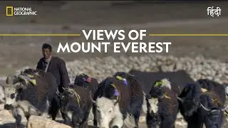 Views of Mount Everest | Primal Survivor | हिन्दी | Full Episode | S2 - E5 | National Geographic