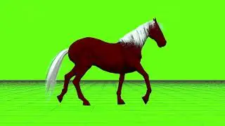 Green Screen Run HORSE