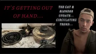 The Cat Blender Video | A Recently Popularized Gore Video #ad