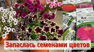 Как купить семена выгодно. Семена цветов, которые буду выращивать в новом сезоне
