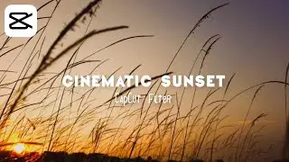 Cinematic Sunset CapCut Filter | capcut editing tutorial