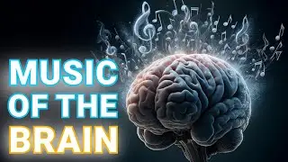 Listening to Brain Activity in Mice - Patreon Livestream