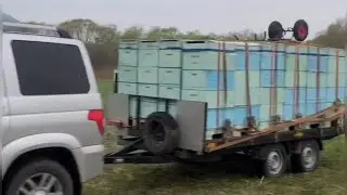 Кочевка  пасеки  Перевозка пчел  Прицеп и тележка   для перевозки пчел