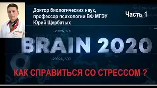 Мастер-класс Юрия Щербатых на форуме BRAIN-2020 («Синергия»). Часть 1.