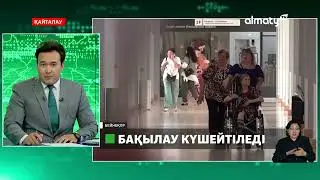 Маймыл шешегі: қауіпті вирусты анықтайтын ПЦР-тест елге жеткізілмек