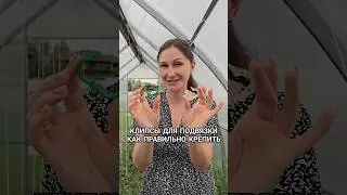 Как правильно крепить клипсы для подвязки растений 
