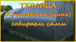 Теплица Кремлёвская (цинк) собираем сами. DIY