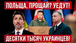 Польша, прощай! В ЭТУ страну МАССОВО едут ДЕСЯТКИ ТЫСЯЧ украинцев!