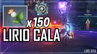Transmutador paramétrico ◈「 Lirio cala  」 Genshin Impact