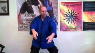 Qik - Emo-Lipo Explanation by Gary Clyman