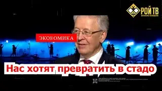 Валентин Катасонов: нас хотят превратить в стадо