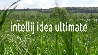 How to install Intellij Idea Ultimate on Linux Mint 21