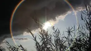 Алиса - Горько