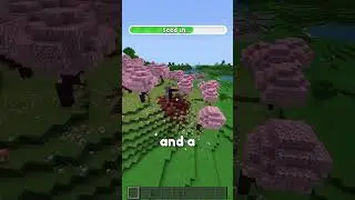 PERFECT SEED FOR YOUR NEXT WORLD!