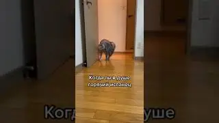 Когда ты в душе горячий испанец 
