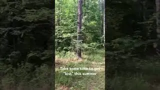 We got lost in on our hike