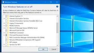 Enable IIS service in Window 10 | Turn on IIS settings | Visual studio 2022