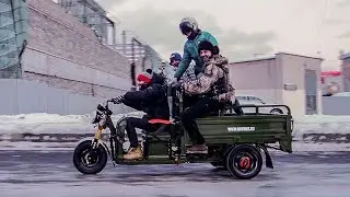 Муравей за 300 000 рублей