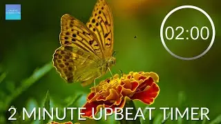 Countdown Timer 2 Minutes With Music -  ⏰ Insects 🐝 - Upbeat timer - pack up time music