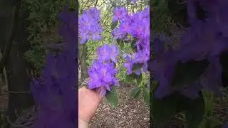 Вот так теперь начинается мой день