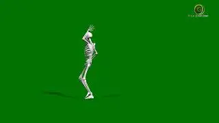 Skeleton Dancing Green Screen HD  (2024)