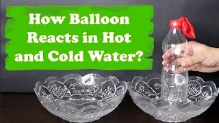 What happens to the Balloon in Hot and Cold Water | Fundoor Amaze #Shorts