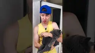 Xammada shunaqa bo’lganmi kuchu mushuga ruhsat berishmaganmi?😂