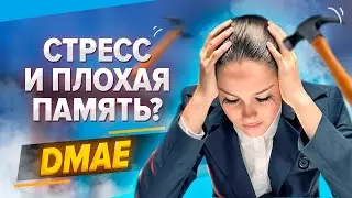 DMAE (ДМАЕ) увеличивает эффективность мозга на 1000%. Узнай, как!